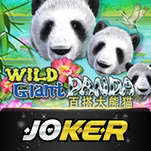 Joker123 - storebet77
